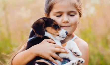 TIPS PARA NUTRICIÓN CONSCIENTE DE CACHORROS-Sin categoría--Natural Pet