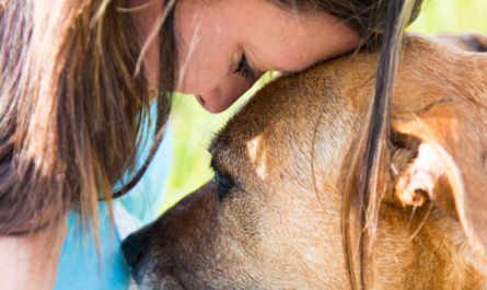 ¿ADOPTARÍAS UN PERRO MESTIZO?-Sin categoría-adopción-Natural Pet