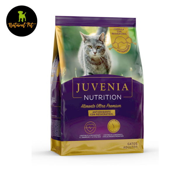 JUVENIA NUTRITION ALIMENTO SUPER PREMIUM / GATOS 🐱