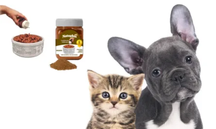 ¿POR QUÉ NATUPLUS Y COMO LE DOY A MI PELUDO?-Consejos--Natural Pet